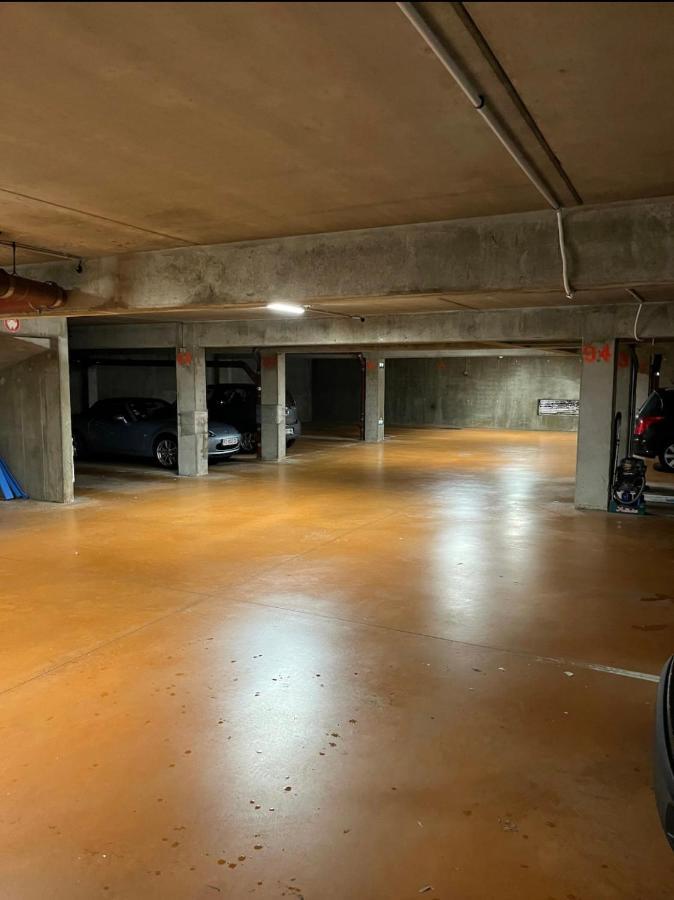 Choupette De La Vallee Avec Garage Kaysersberg-Vignoble Kültér fotó